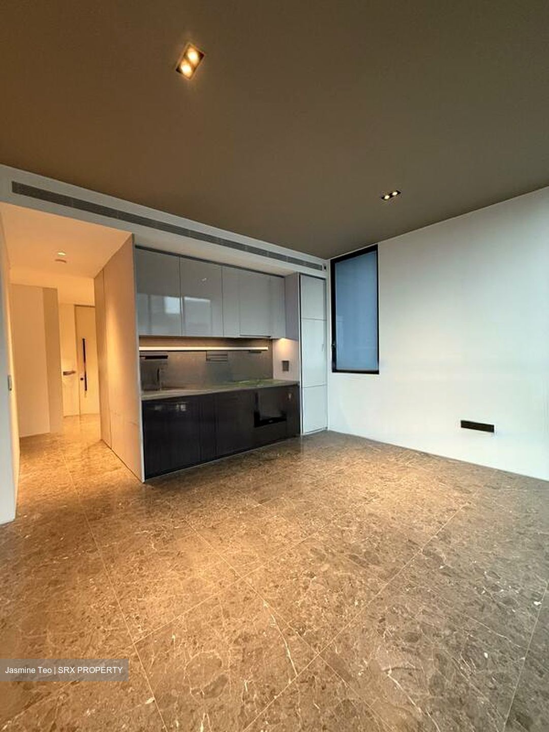 Cuscaden Reserve (D10), Condominium #578742331